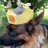 55pupper