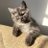 AmeerZaid_