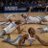 Ball3rsVision
