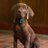 Blogs_ByMe