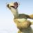 Bradipo_73