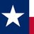CarThiefinTexas