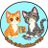 Catscollecttcg