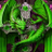 D21158Dragon