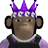 FNTDrippynew