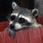 FlowRaccoon