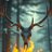 HABlackwood7