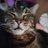 Janine_1801