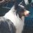 Jarrod61189023
