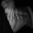 Javedofficial0