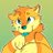 MatKotter