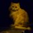 Michael_Jambor