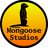 Mongoose_Studio