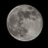 Moongeezertalk