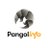 Pangolinfo_API