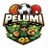Pelumitips