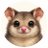 PossumHello
