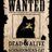Quantum_Cat_TX