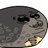 Raptor_54321