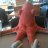 Snuffle16106950