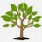 TreeGreen2933