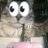 Vaticats