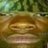 WavyLettuce2