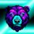 ZBearlyAwake