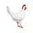 ZippyTheChicken