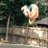 _Bradpeters5