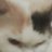 _KarBer