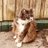 alice_alfie