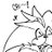 bark_barkk2