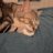 breenybreeny7