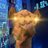 camelfinance