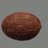 coconut_jpgg