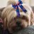 daisymay4263