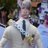 enkayart