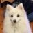 fuzzylicious007