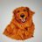 henry_benn51461