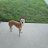 hyler_evan1232