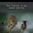 mannu_8587