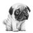 richins_michael
