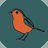 robin_esque