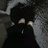 savage_n0te