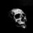 shaphat_