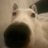 shaun_mchugh_10