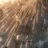 theGiantMidget2