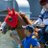 thefireman08