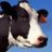 therealcowmoo
